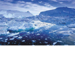 Frostz Studio'z