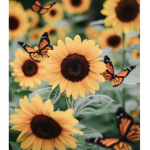 My Sunflower <3
