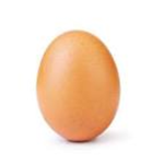 Egg Men Of Egg Land