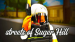 Streets of suagrhill