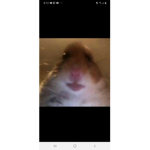 Hola que hace solo amigos uwu