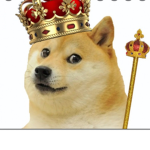 DOGE RULE!!!!!!