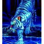 TheDarkTigers