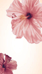 Viki's Clothing