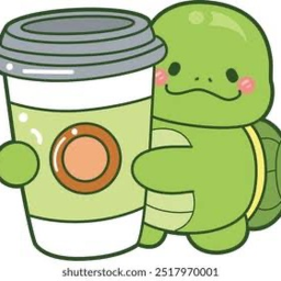 Turtle Beans Training