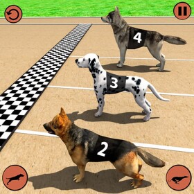 Pet Race 