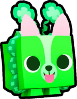 Irish Corgi