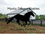 Mystic Dragon Stables