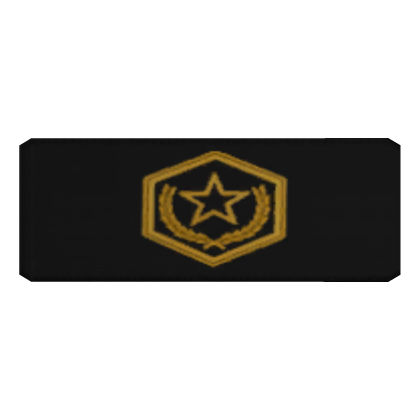 👑 Jackson's Black "CTE" Anti-War Armband Roblox item