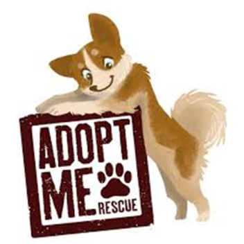 adopt a dog with your unicorn