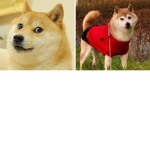 DoggoFanClub
