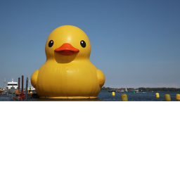 Duck admin game (BETA)