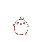 Bun bun bun bunny