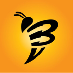 THE KILLER BEES DANCE TEAM