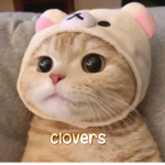 Cloverss