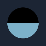 The 49th Australian Battalion