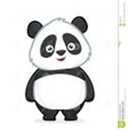 panda concert