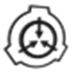 ####### Nuclear Nonproliferation Foundation