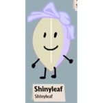 Shinyleaf - Shining For Victory Fan Group