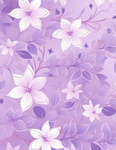Bellas_clothes