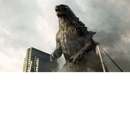 fight