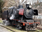 Victorian heritage group