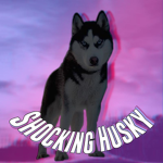 Shocking Husky Fan Club