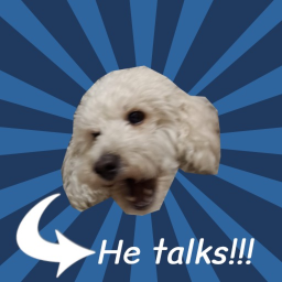 My Talking Doggo