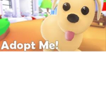 Adopt me trades! :)