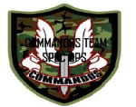 COMMANDOS TEAM  SPEC OPS