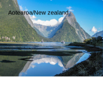 NEW ZEALAND KIWIS ARE AWESOME