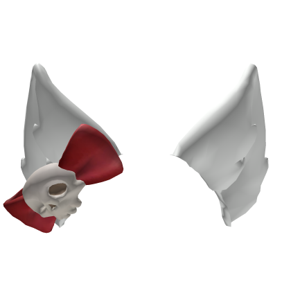 Halloween White Kitty Cat Ears with Skull Roblox item