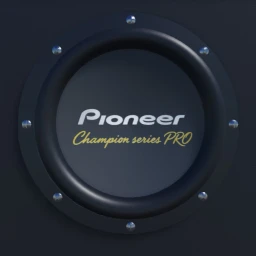 Huge Pioneer subwoofer  icon