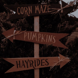 🎃