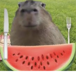 Capybaras are good animals