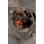 Meu grupinho :D