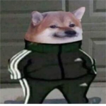 ze doge'z