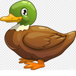 Duck's are best