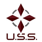 The Umbrella Security Service