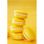 Bad Biscuits
