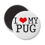 Pug Life