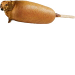Corn doggy