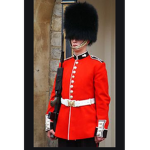 Royal Guard Fan Club