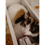 Grupinho Da Cleo