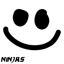 Ninjas Testing