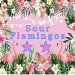 Sour Flamingos