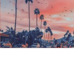 VIBEZZ FOREVER