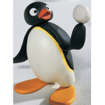 Pingu is a penguin