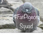#FatPigeon Squad