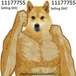 Da Hood Doge's